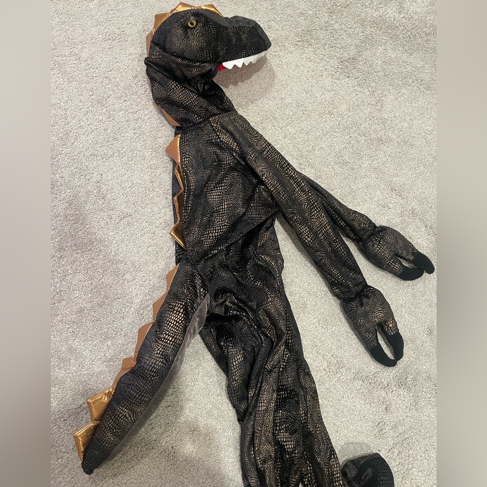Dinosaur Halloween Costume for Kids Size 4T Black & Gold - Picture 2 of 6